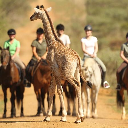 Pakamisa Private Game Reserve Понгола Экстерьер фото