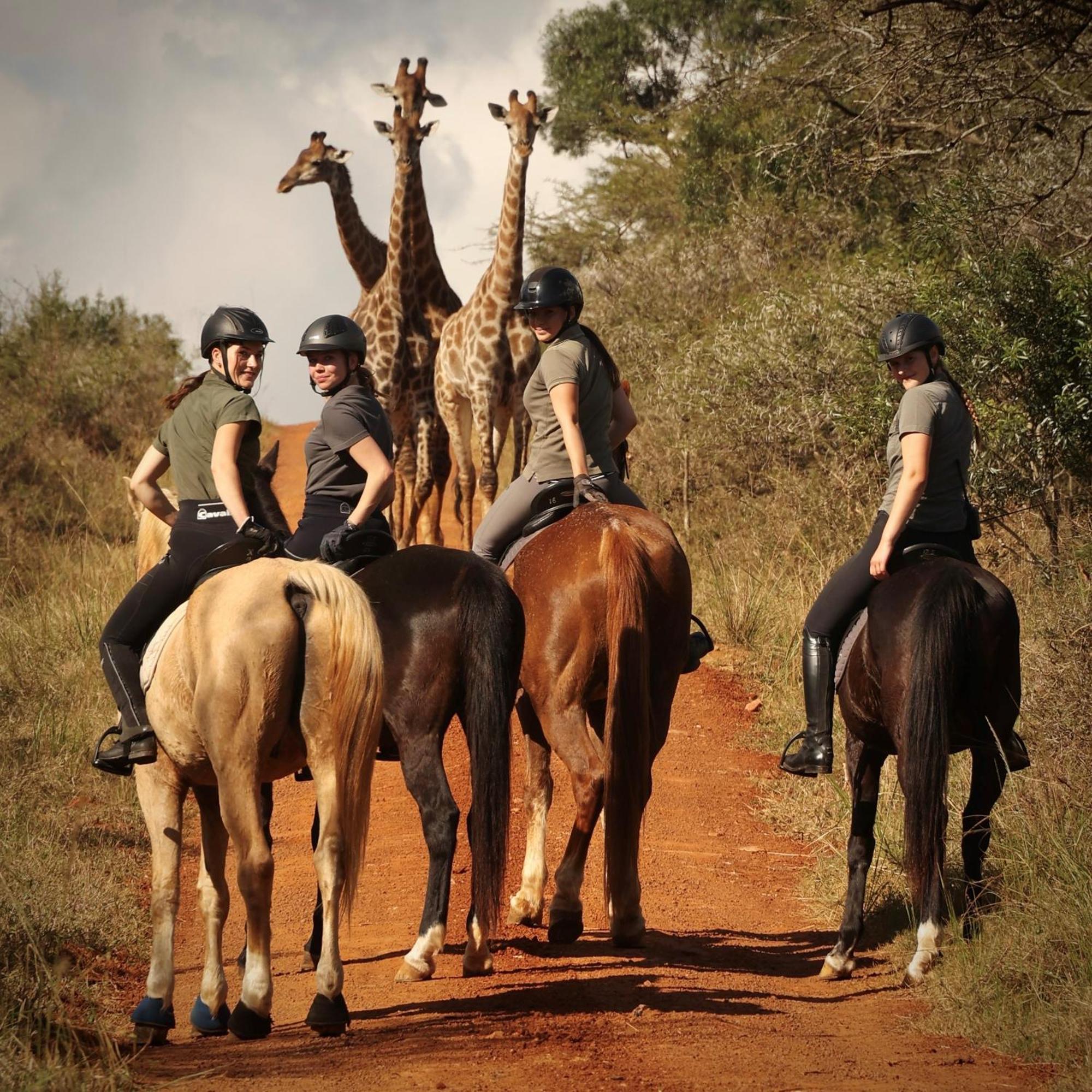 Pakamisa Private Game Reserve Понгола Экстерьер фото
