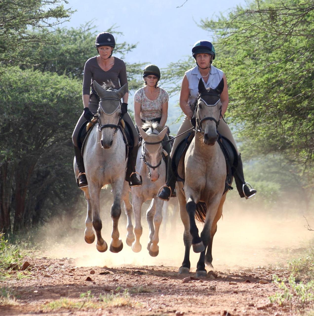 Pakamisa Private Game Reserve Понгола Экстерьер фото