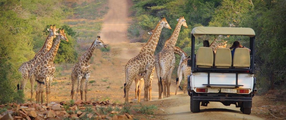 Pakamisa Private Game Reserve Понгола Экстерьер фото