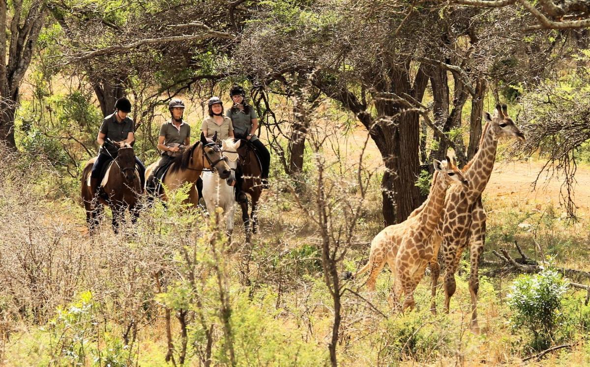 Pakamisa Private Game Reserve Понгола Экстерьер фото