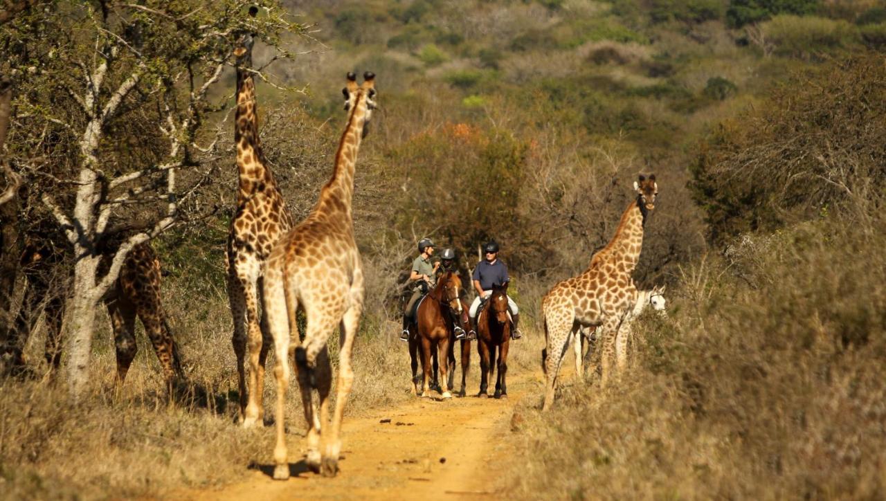 Pakamisa Private Game Reserve Понгола Экстерьер фото