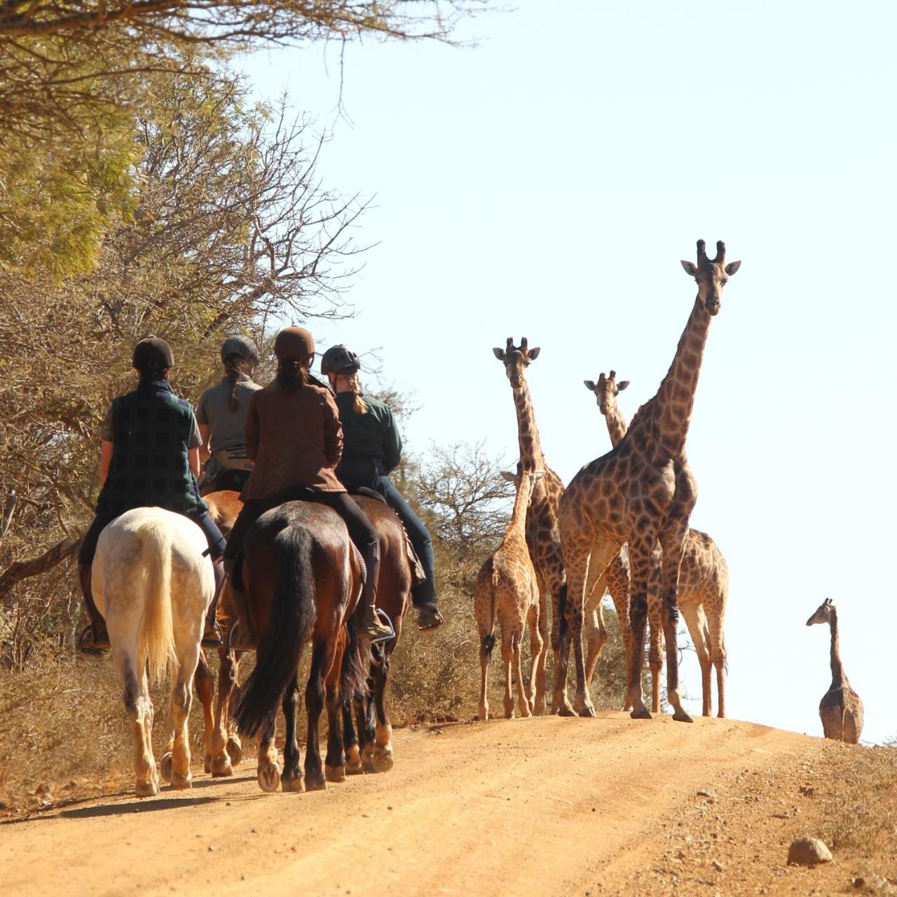 Pakamisa Private Game Reserve Понгола Экстерьер фото